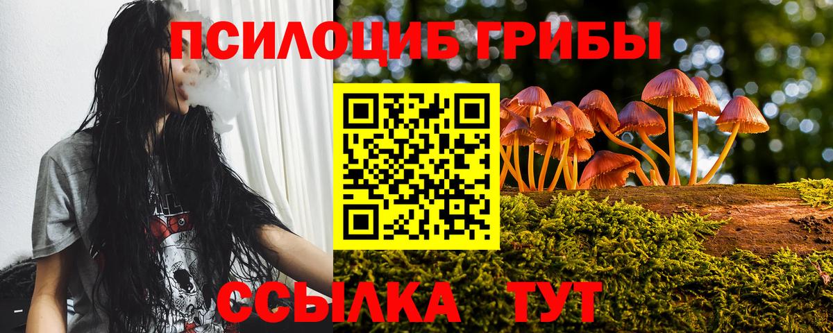 Псилоцибиновые грибы Magic Shrooms  Вход с VPN  Норильск 